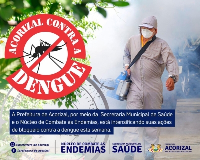 Combate à Dengue em Ação!